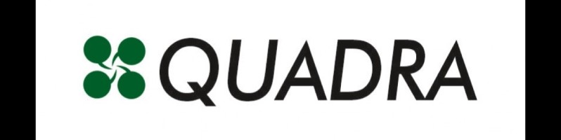 Quadra Infratel Synergies